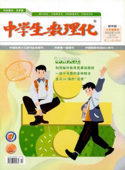 中学生数理化·八年级数学·配合人教社教材期刊